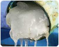 ���������� ���� �����������